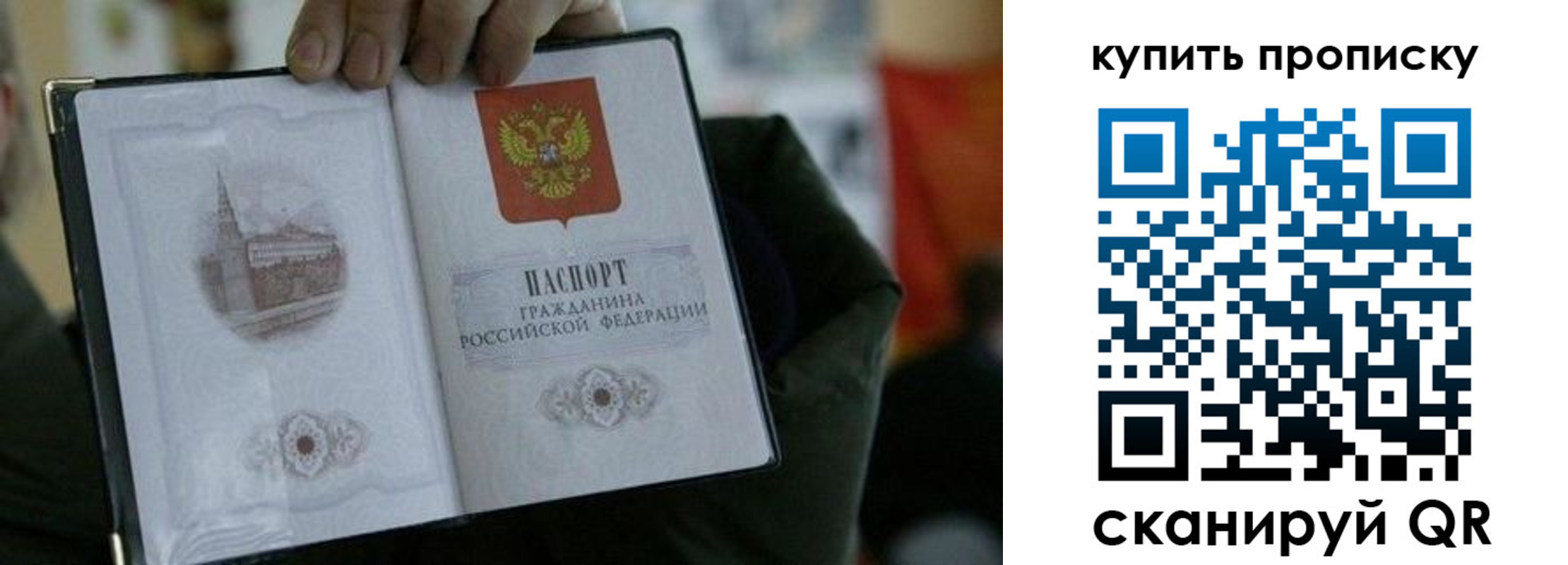 временная регистрация поиск в Александровске