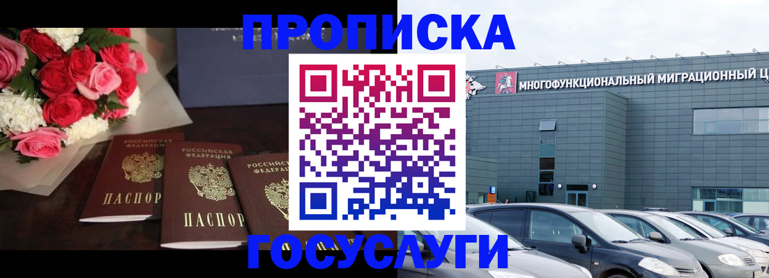 прописка законно в Александровске